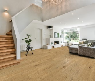 Denali Hardwood Floors Renaissance Masaccio